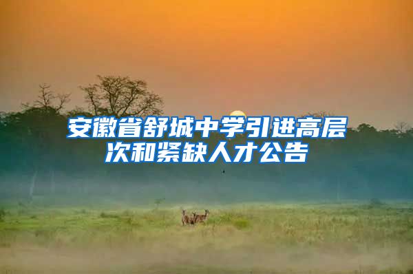 安徽省舒城中学引进高层次和紧缺人才公告