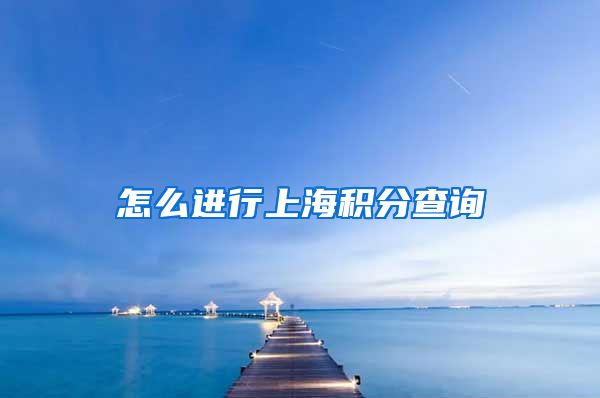 怎么进行上海积分查询