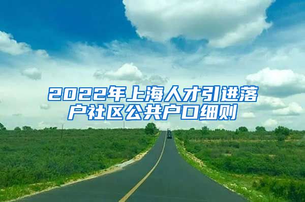 2022年上海人才引进落户社区公共户口细则