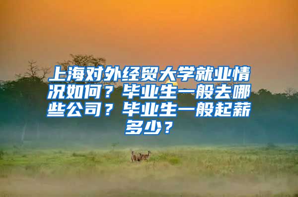 上海对外经贸大学就业情况如何？毕业生一般去哪些公司？毕业生一般起薪多少？