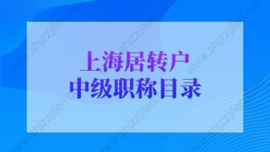 上海居转户中级职称指的是哪些？附技能职称表