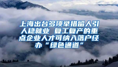 上海出台多项举措留人引人稳就业 复工复产的重点企业人才可纳入落户经办“绿色通道”