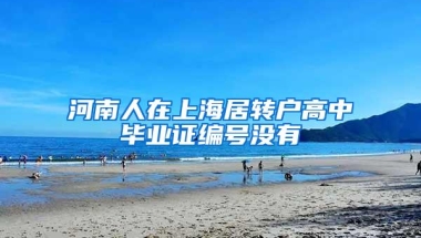 河南人在上海居转户高中毕业证编号没有