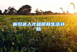 新引进人才租房和生活补贴