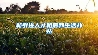 新引进人才租房和生活补贴