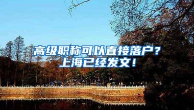 高级职称可以直接落户？上海已经发文！