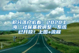 积分落户必看：2020上海“社保基数调整”系统已开放！上图+流程