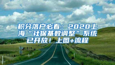 积分落户必看：2020上海“社保基数调整”系统已开放！上图+流程