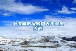 上海浦东居转户五年三倍流程