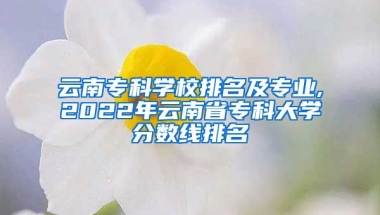 云南专科学校排名及专业,2022年云南省专科大学分数线排名