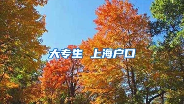 大专生 上海户口