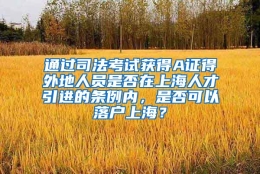 通过司法考试获得A证得外地人员是否在上海人才引进的条例内，是否可以落户上海？