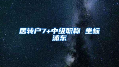 居转户7+中级职称 坐标浦东