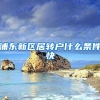 浦东新区居转户什么条件快