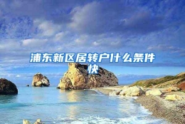 浦东新区居转户什么条件快