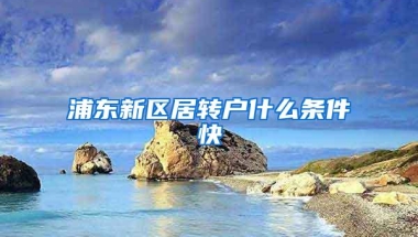 浦东新区居转户什么条件快