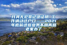 开具无犯罪记录证明 工作调动迁户口……2021年底前这些业务不用再回老家办了