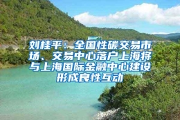 刘桂平：全国性碳交易市场、交易中心落户上海将与上海国际金融中心建设形成良性互动