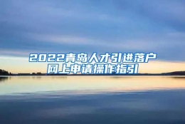 2022青岛人才引进落户网上申请操作指引