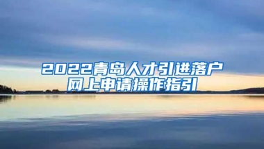 2022青岛人才引进落户网上申请操作指引