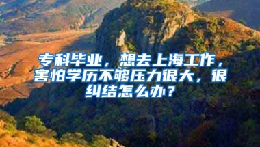 专科毕业，想去上海工作，害怕学历不够压力很大，很纠结怎么办？