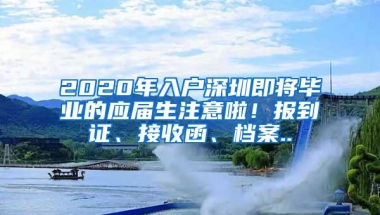 2020年入户深圳即将毕业的应届生注意啦！报到证、接收函、档案..