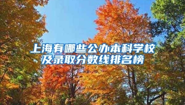 上海有哪些公办本科学校及录取分数线排名榜