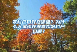 农村户口好在哪里？为什么大家现在很喜欢农村户口呢？