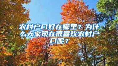 农村户口好在哪里？为什么大家现在很喜欢农村户口呢？