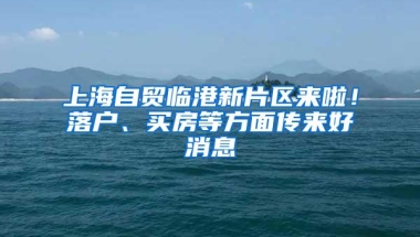 上海自贸临港新片区来啦！落户、买房等方面传来好消息