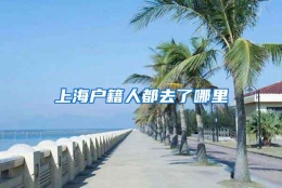 上海户籍人都去了哪里