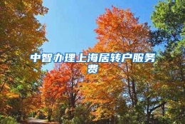 中智办理上海居转户服务费