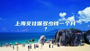 上海交社保多少钱一个月？