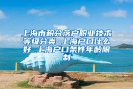 上海市积分落户职业技术等级分类 上海户口什么好 上海户口条件年龄限制