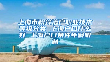 上海市积分落户职业技术等级分类 上海户口什么好 上海户口条件年龄限制