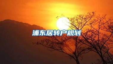 浦东居转户规划