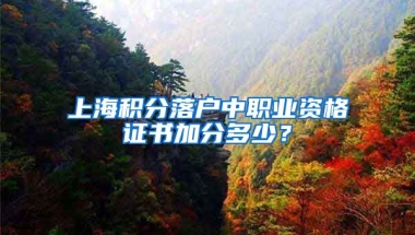 上海积分落户中职业资格证书加分多少？