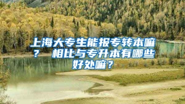 上海大专生能报专转本嘛？ 相比与专升本有哪些好处嘛？