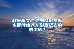 政府机关的老油条们是怎么看待走人才引进进去的博士的？