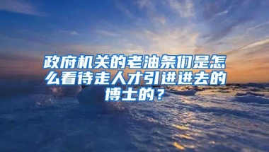 政府机关的老油条们是怎么看待走人才引进进去的博士的？