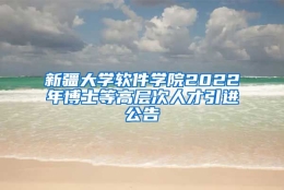 新疆大学软件学院2022年博士等高层次人才引进公告