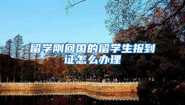 留学刚回国的留学生报到证怎么办理