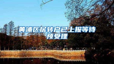 黄浦区居转户已上报等待预受理