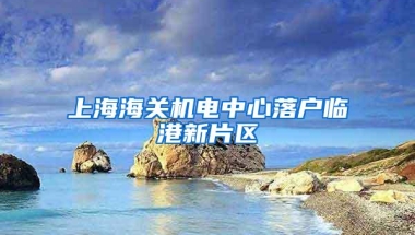 上海海关机电中心落户临港新片区