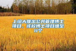 上纽大推出公共管理博士项目，该校博士项目增至11个