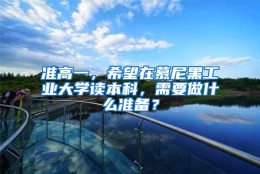 准高一，希望在慕尼黑工业大学读本科，需要做什么准备？