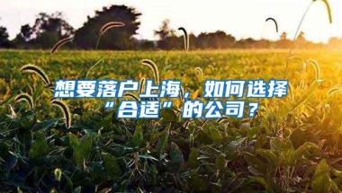 想要落户上海，如何选择“合适”的公司？