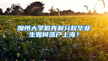 加州大学伯克利分校毕业生如何落户上海？