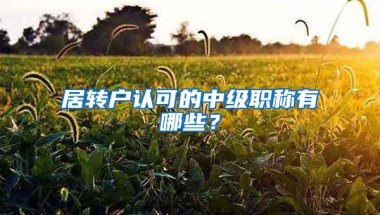 居转户认可的中级职称有哪些？