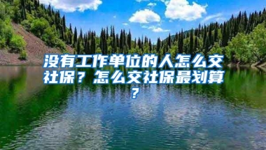 没有工作单位的人怎么交社保？怎么交社保最划算？